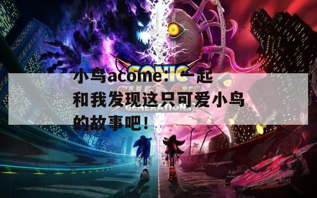 小鸟acome：一起和我发现这只可爱小鸟的故事吧！