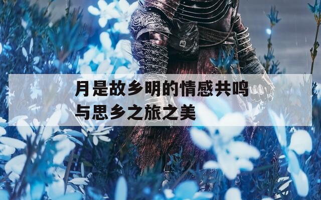 月是故乡明的情感共鸣与思乡之旅之美