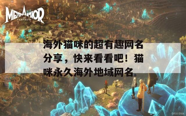 海外猫咪的超有趣网名分享，快来看看吧！猫咪永久海外地域网名