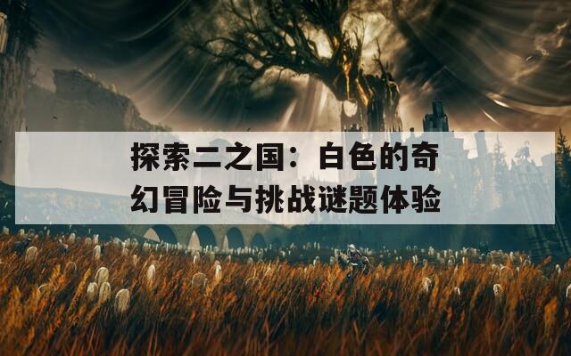 探索二之国：白色的奇幻冒险与挑战谜题体验