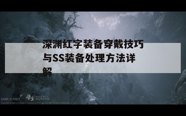 深渊红字装备穿戴技巧与SS装备处理方法详解
