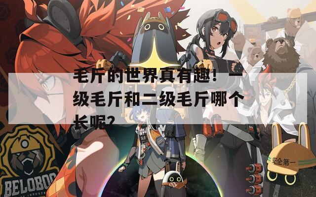 毛斤的世界真有趣！一级毛斤和二级毛斤哪个长呢？