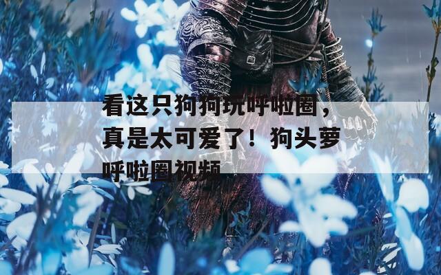 看这只狗狗玩呼啦圈，真是太可爱了！狗头萝呼啦圈视频