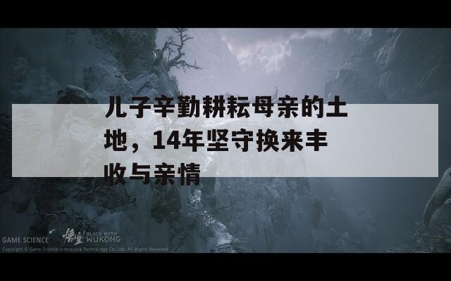 儿子辛勤耕耘母亲的土地，14年坚守换来丰收与亲情