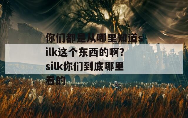 你们都是从哪里知道silk这个东西的啊？silk你们到底哪里看的