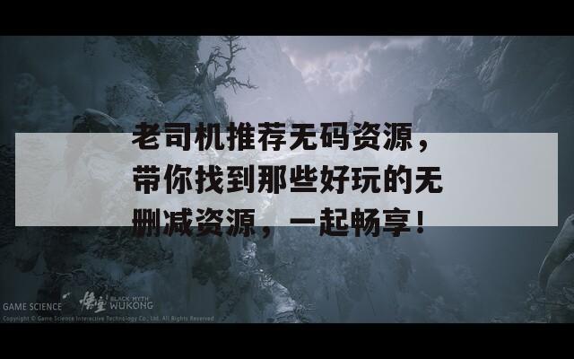 老司机推荐无码资源，带你找到那些好玩的无删减资源，一起畅享！