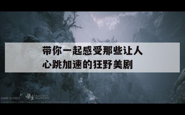 带你一起感受那些让人心跳加速的狂野美剧