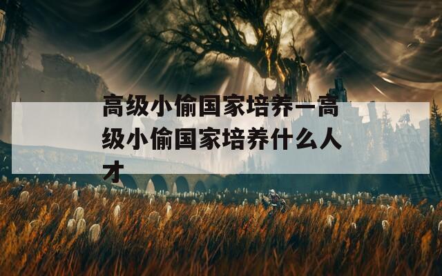 高级小偷国家培养—高级小偷国家培养什么人才
